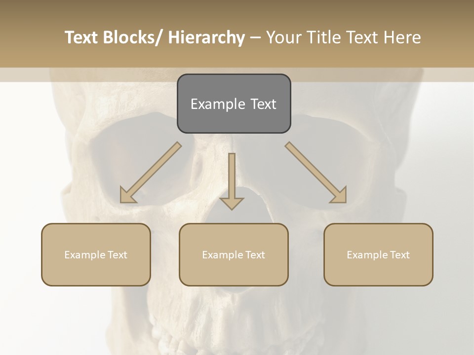 Human Skull PowerPoint Template
