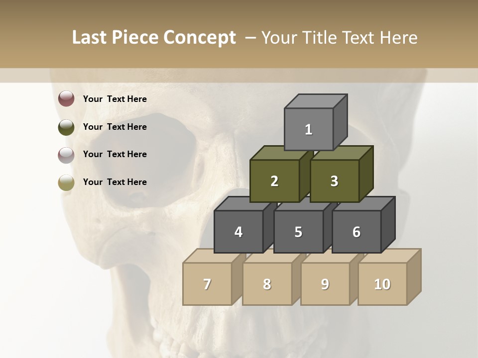 Human Skull PowerPoint Template