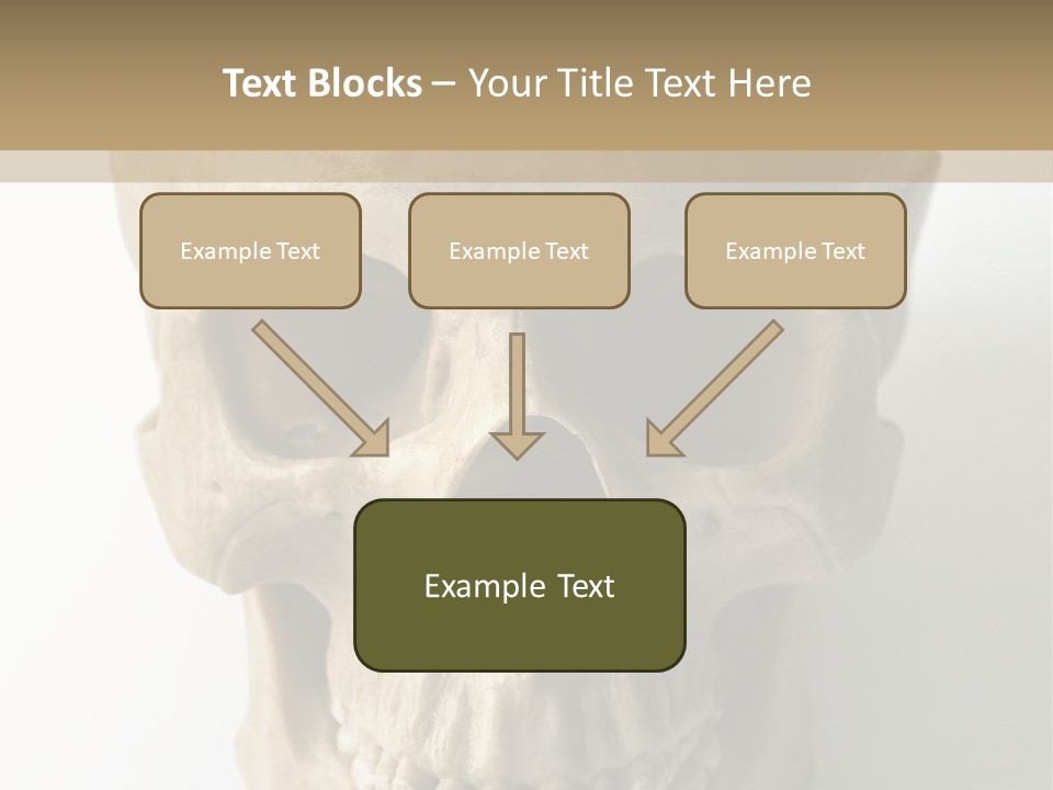 Human Skull PowerPoint Template