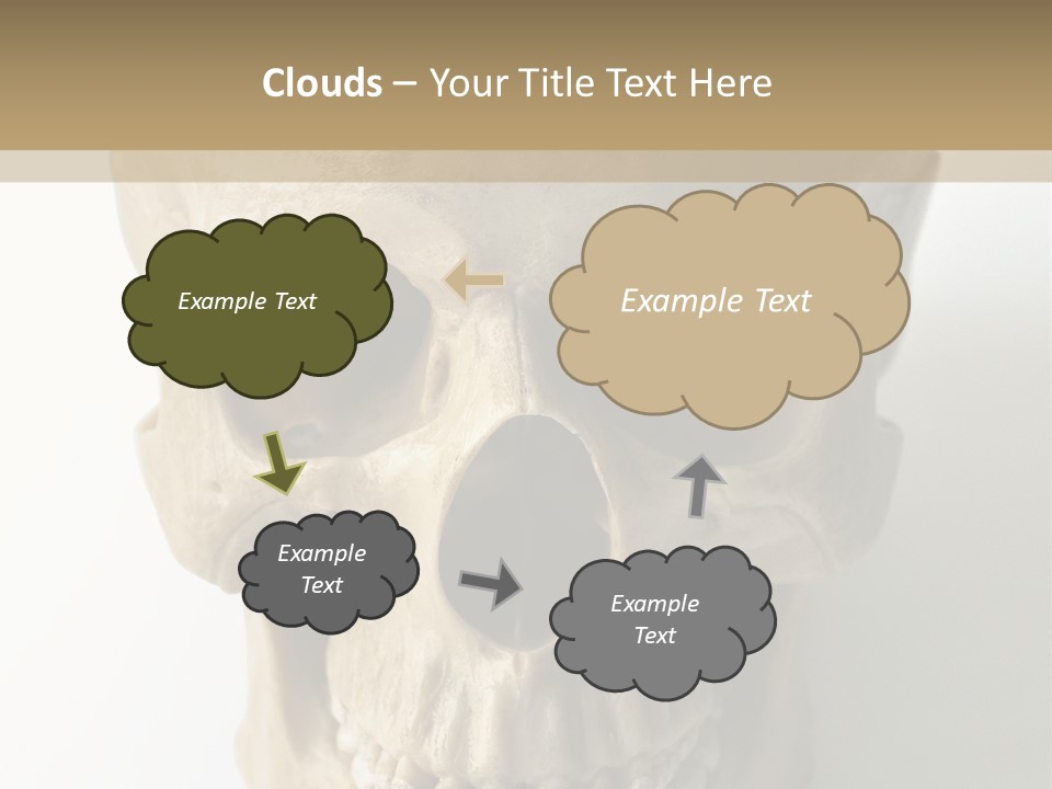 Human Skull PowerPoint Template
