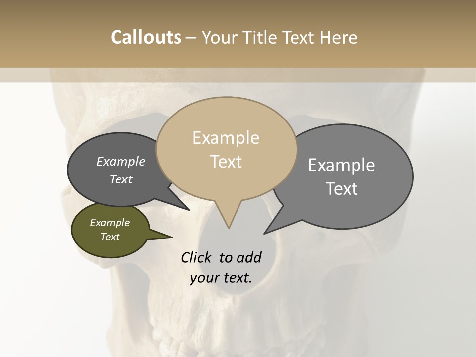 Human Skull PowerPoint Template