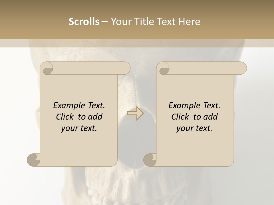 Human Skull PowerPoint Template