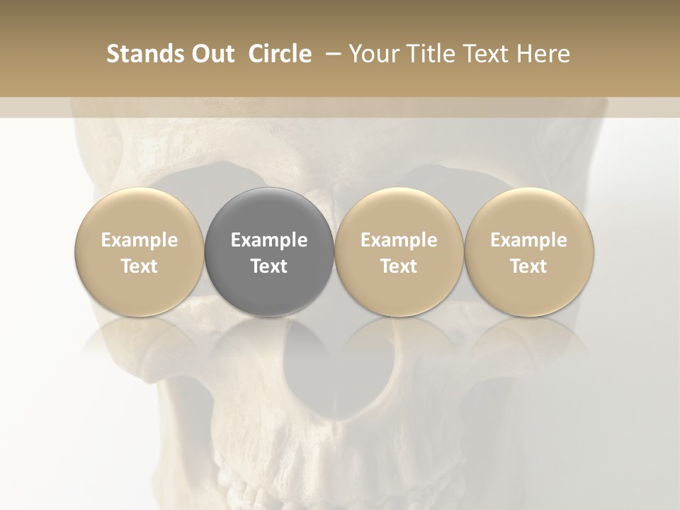 Human Skull PowerPoint Template