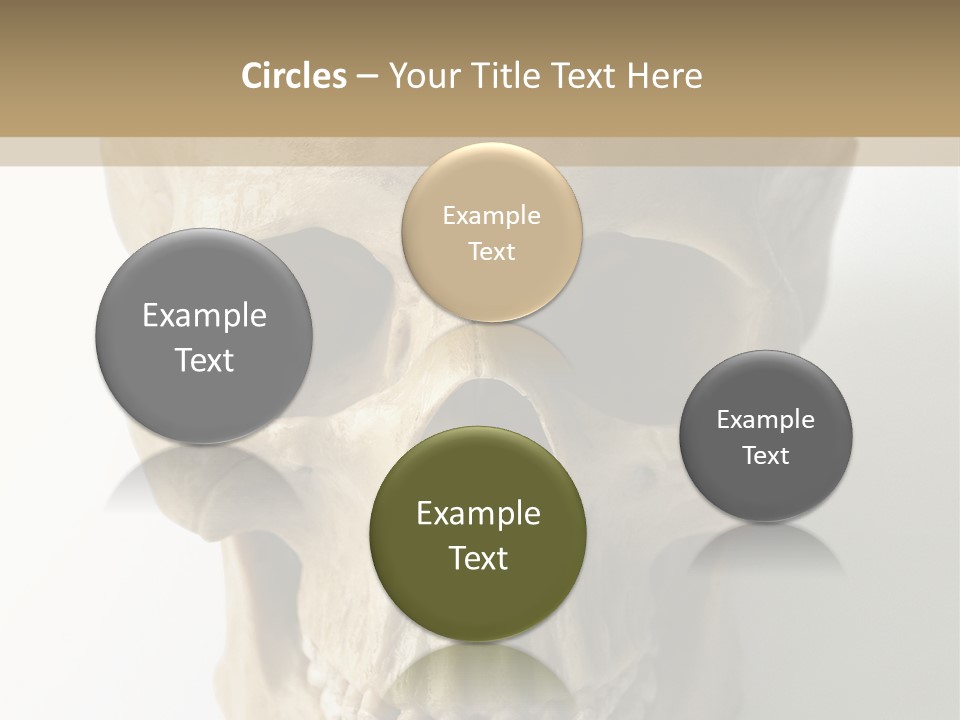 Human Skull PowerPoint Template
