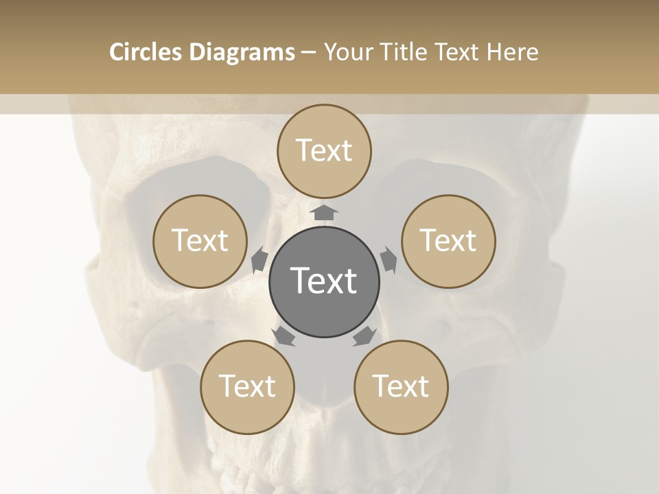 Human Skull PowerPoint Template