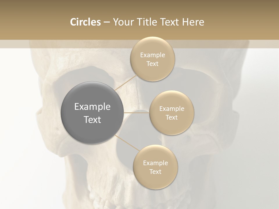 Human Skull PowerPoint Template