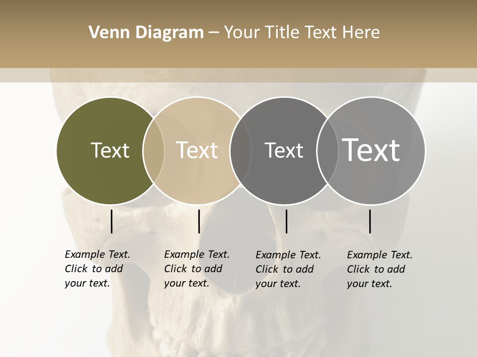 Human Skull PowerPoint Template