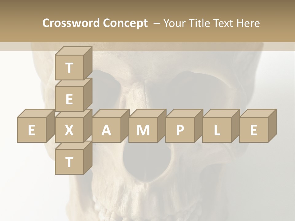 Human Skull PowerPoint Template