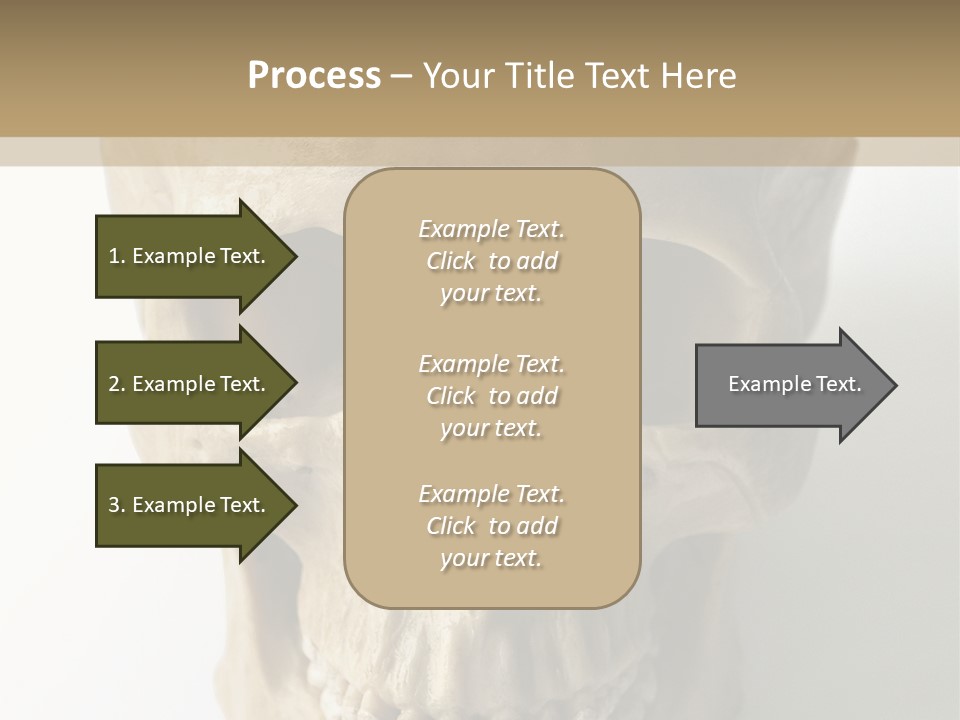 Human Skull PowerPoint Template