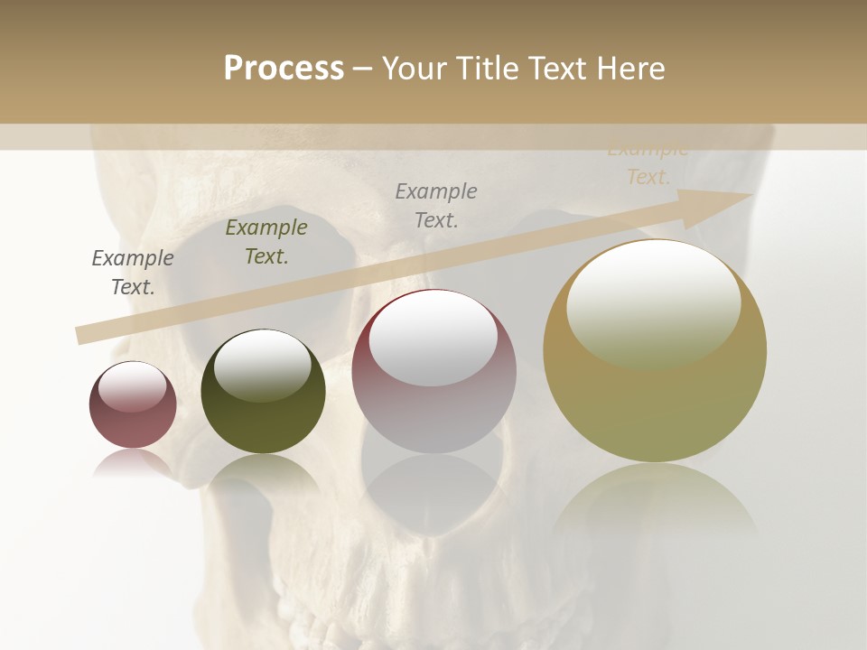 Human Skull PowerPoint Template