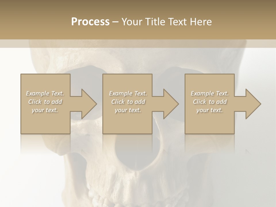 Human Skull PowerPoint Template