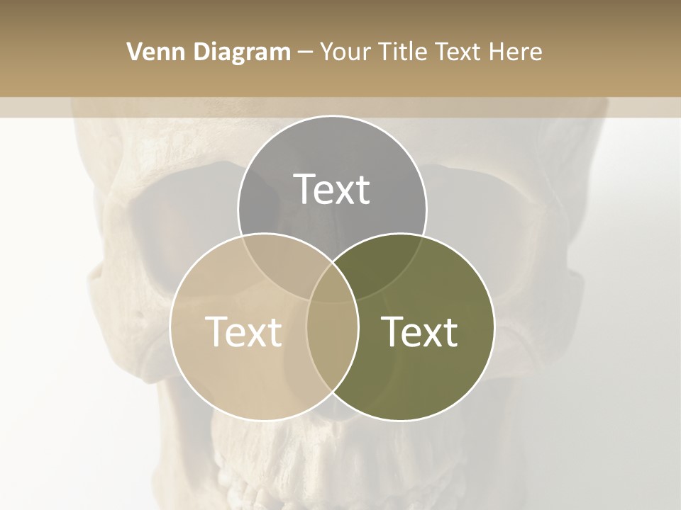 Human Skull PowerPoint Template