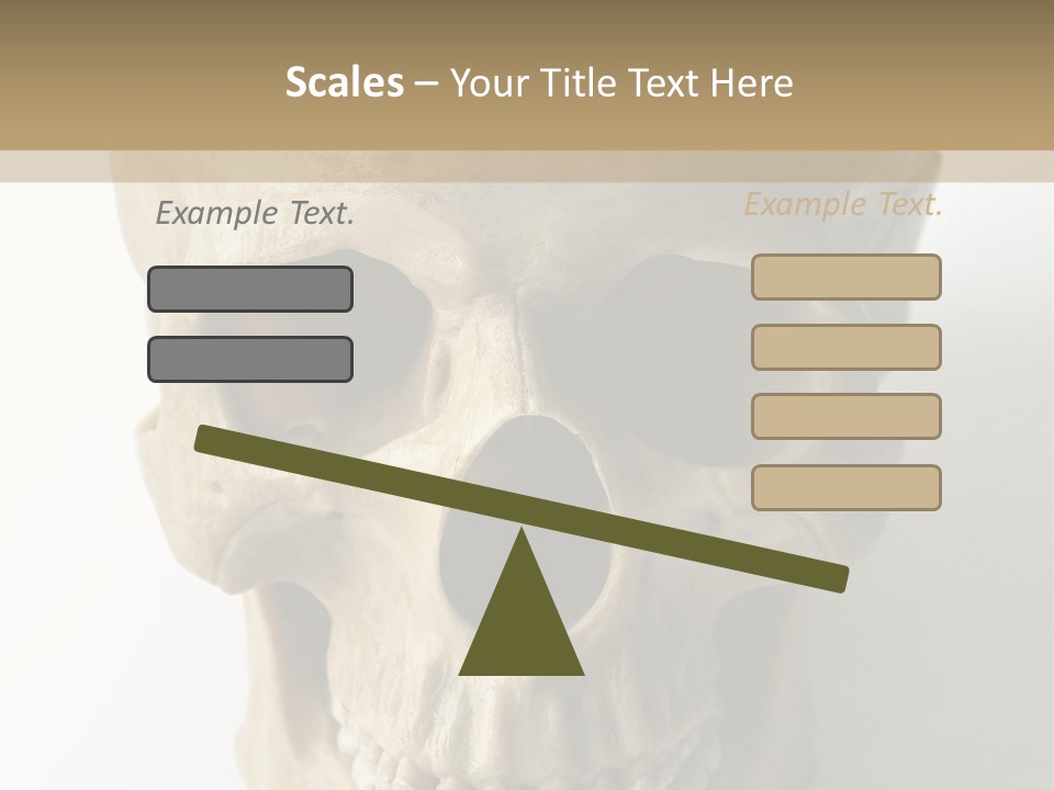 Human Skull PowerPoint Template