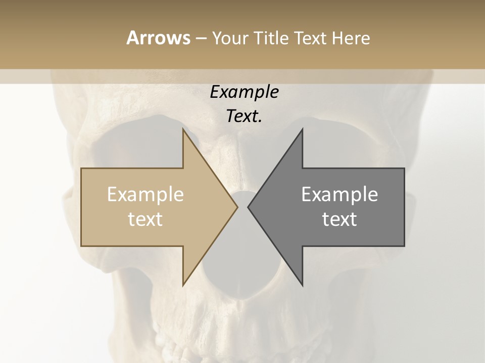 Human Skull PowerPoint Template