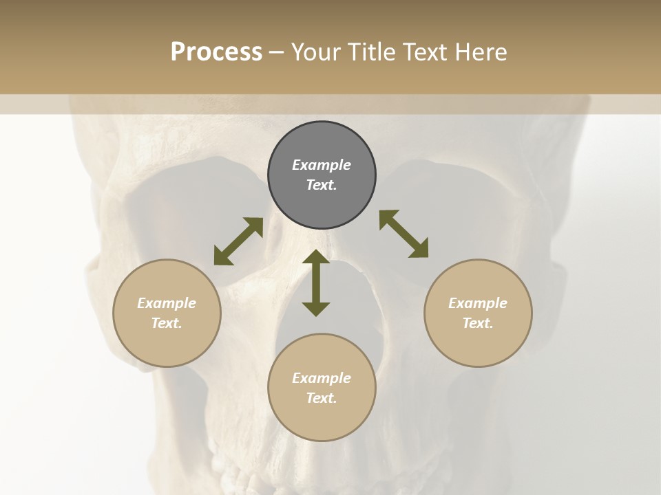 Human Skull PowerPoint Template