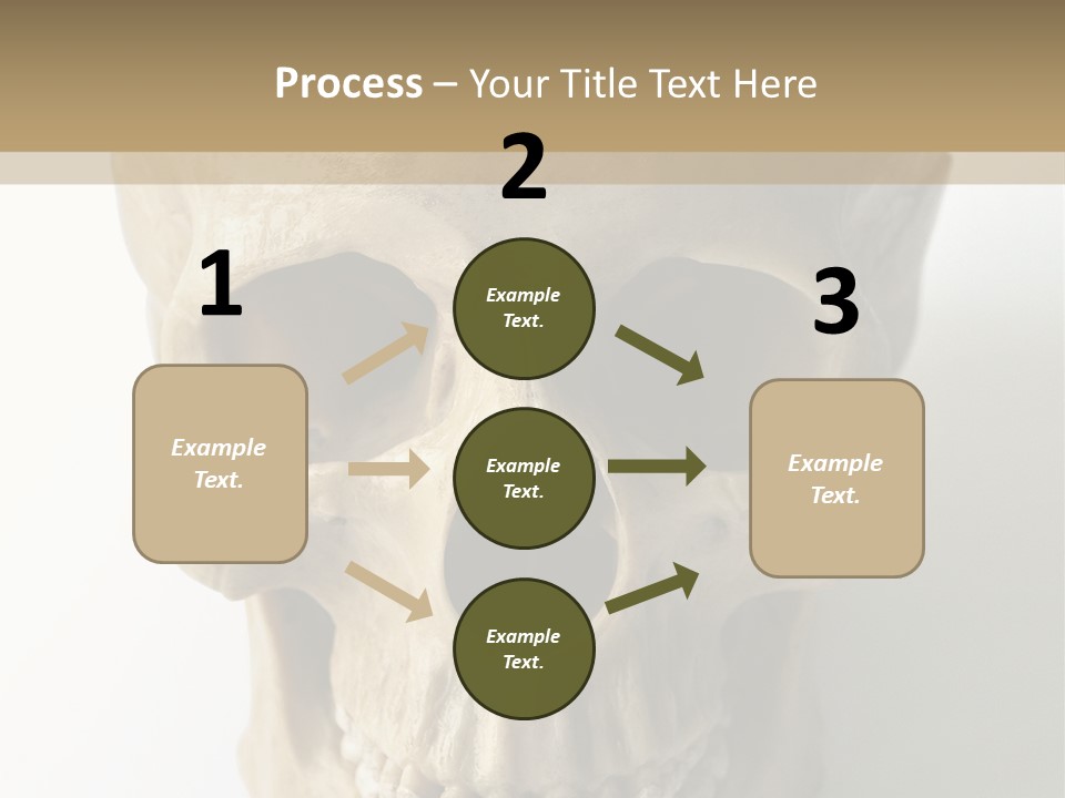 Human Skull PowerPoint Template