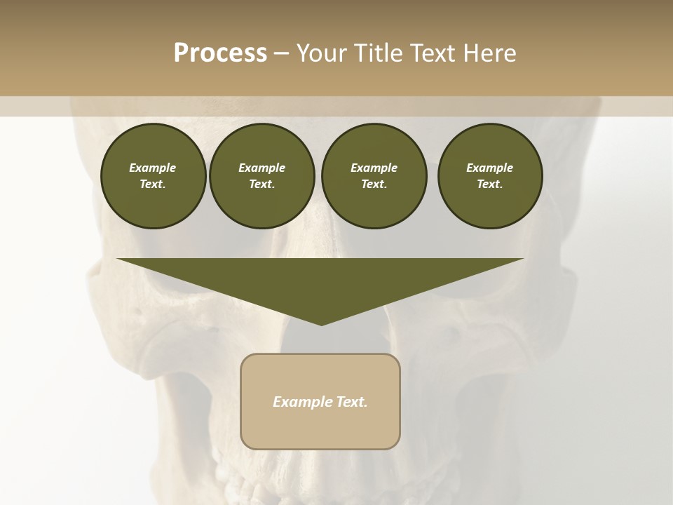 Human Skull PowerPoint Template