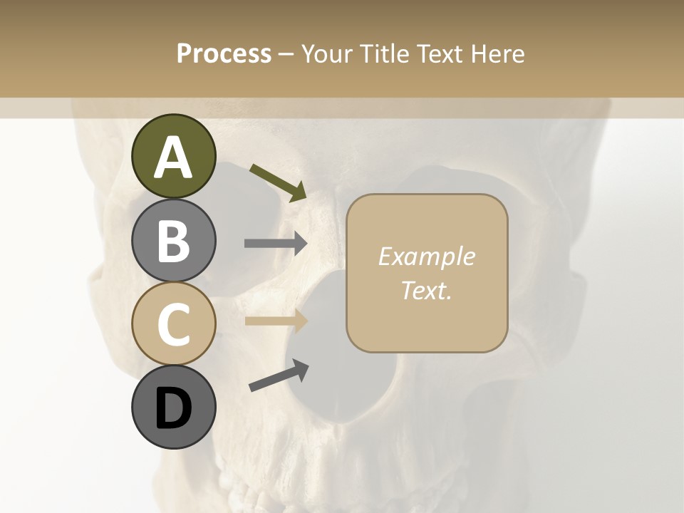 Human Skull PowerPoint Template
