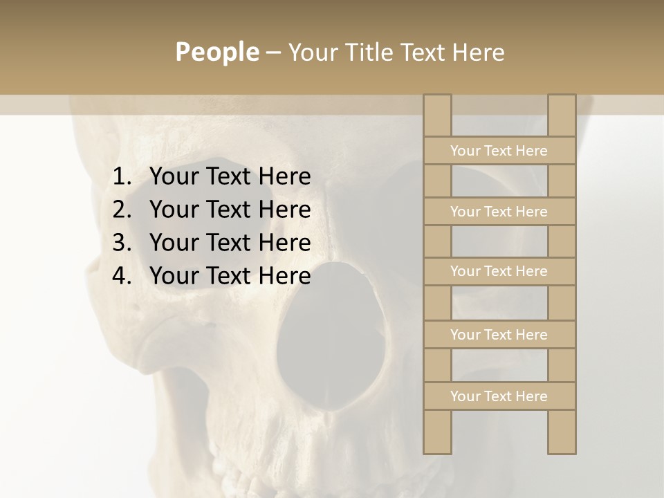Human Skull PowerPoint Template