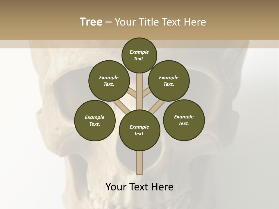 Human Skull PowerPoint Template