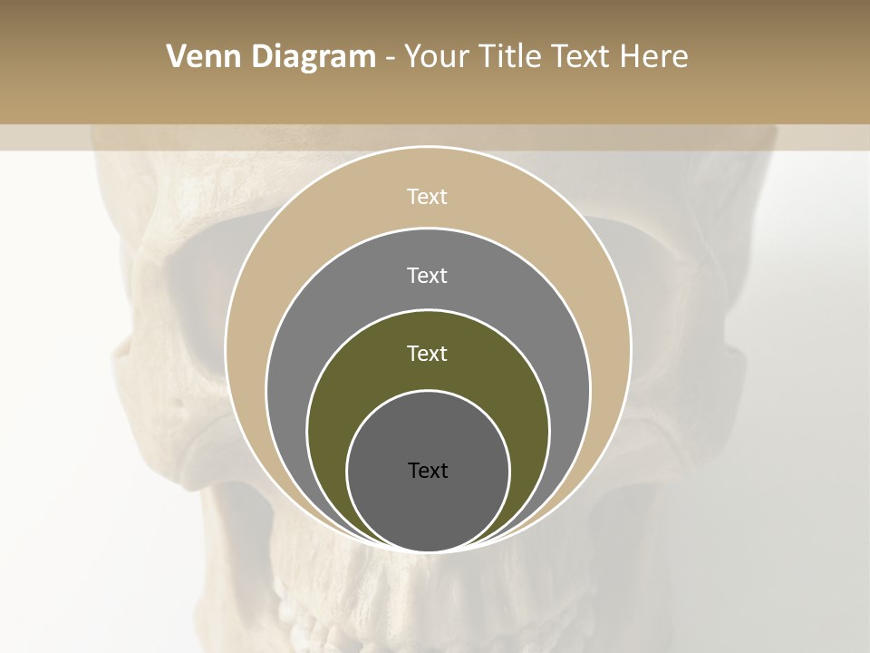 Human Skull PowerPoint Template