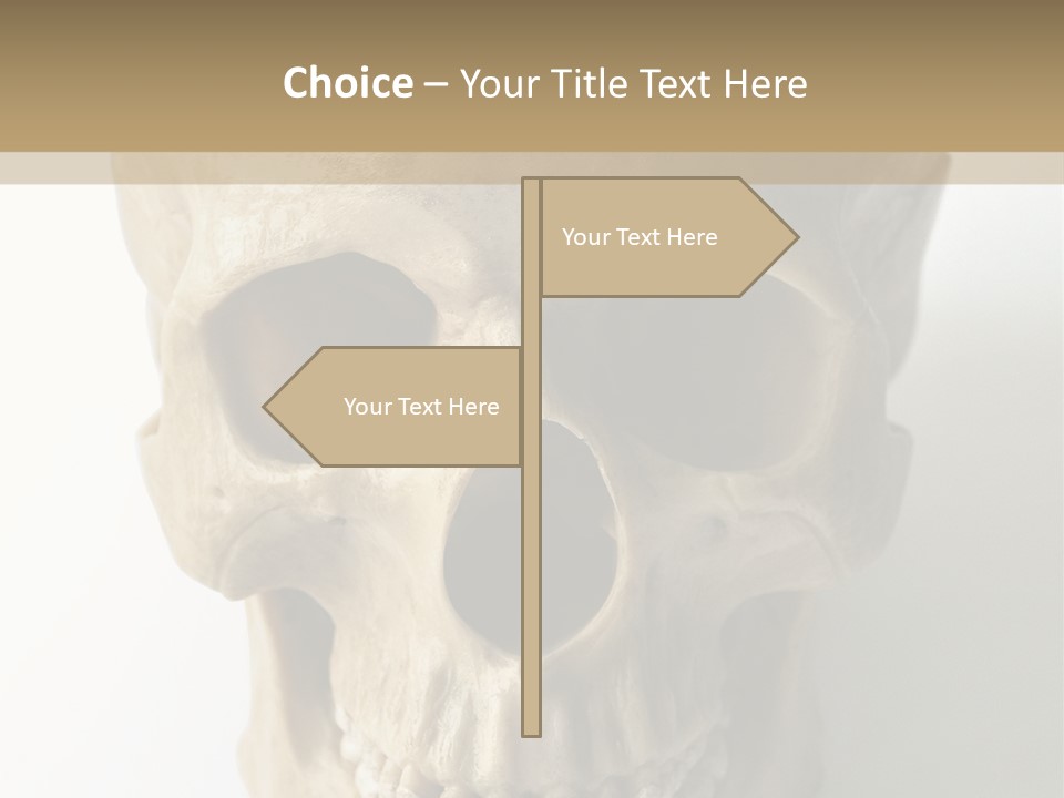 Human Skull PowerPoint Template