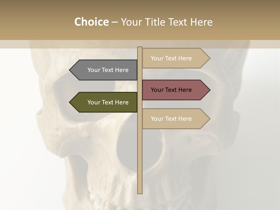 Human Skull PowerPoint Template