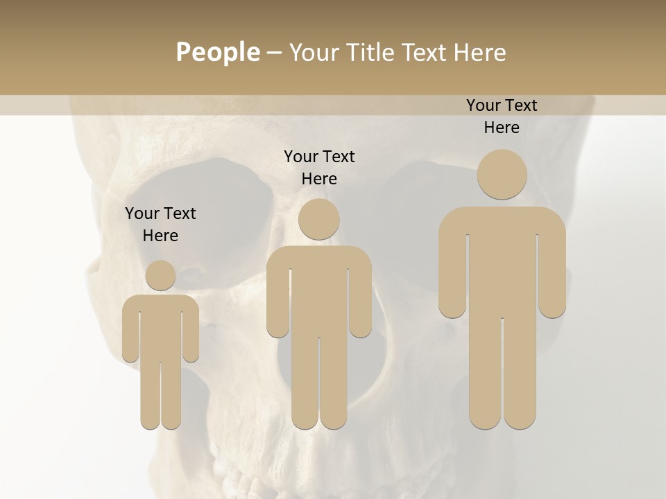 Human Skull PowerPoint Template