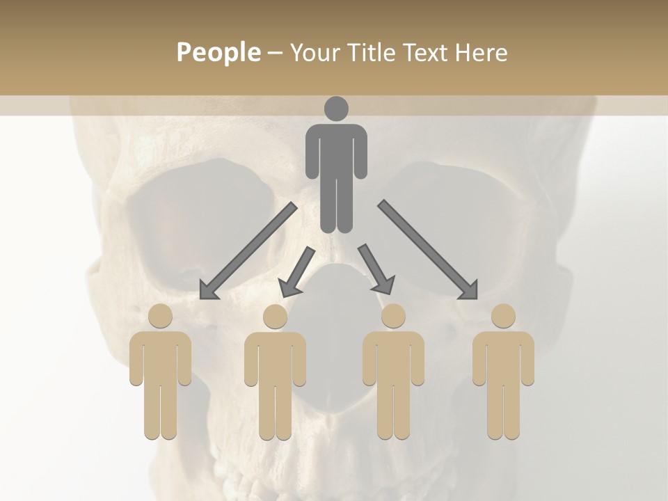 Human Skull PowerPoint Template