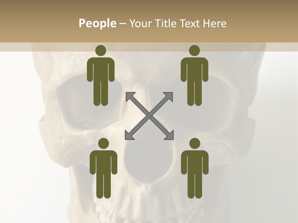 Human Skull PowerPoint Template