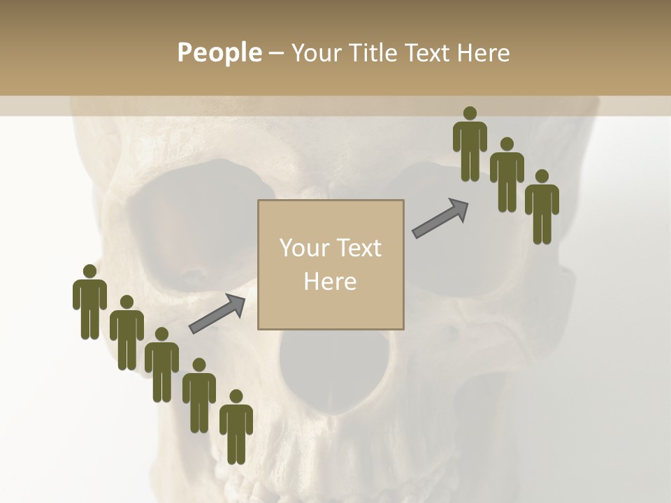 Human Skull PowerPoint Template