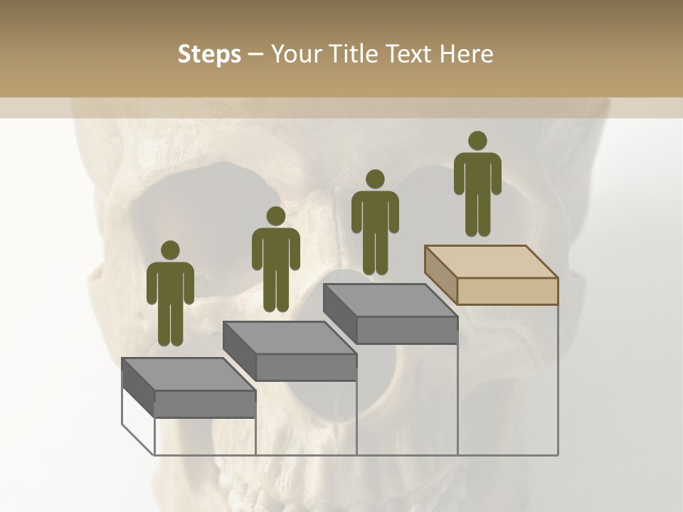 Human Skull PowerPoint Template