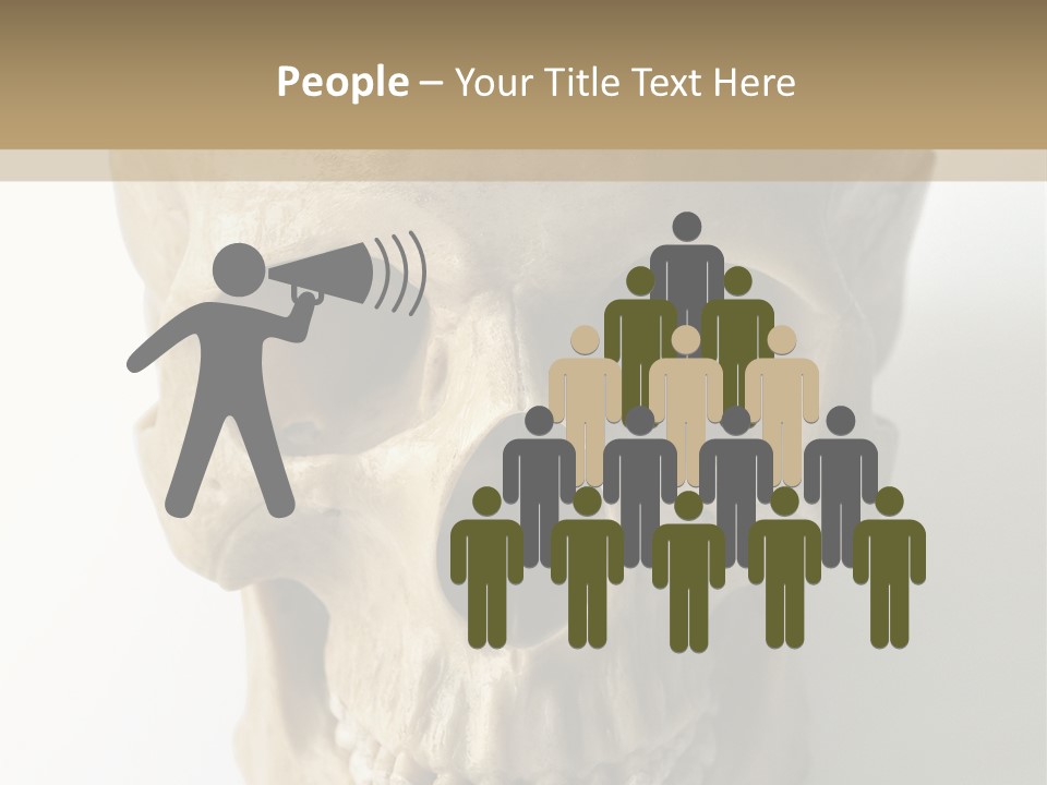 Human Skull PowerPoint Template