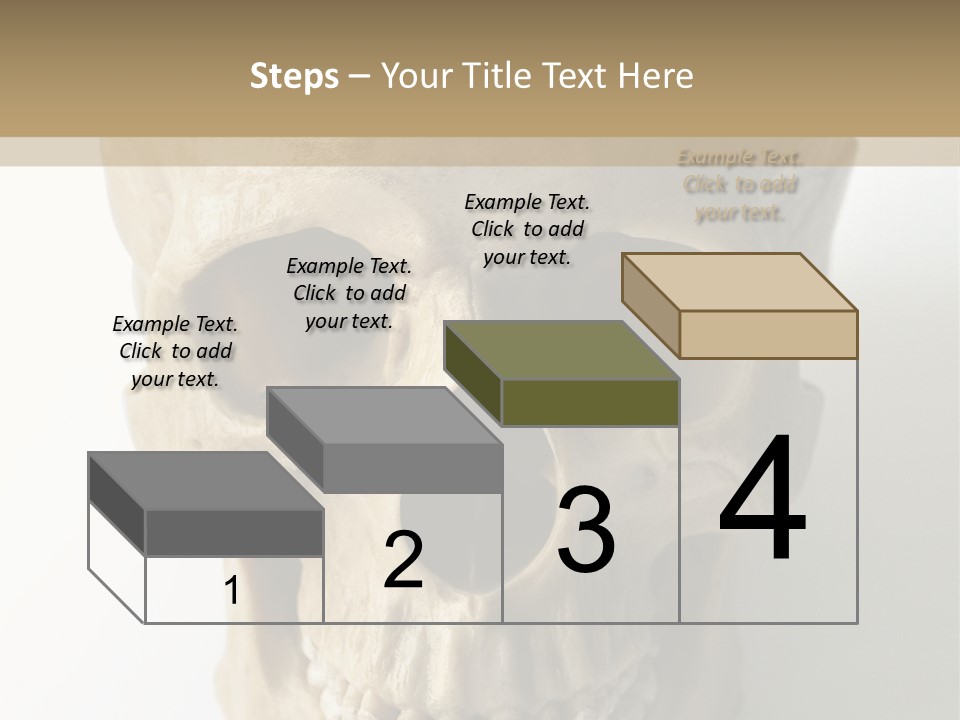 Human Skull PowerPoint Template