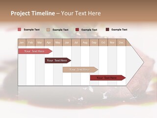 Filet Mignon PowerPoint Template