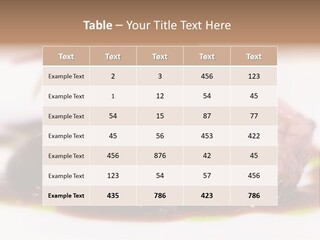 Filet Mignon PowerPoint Template