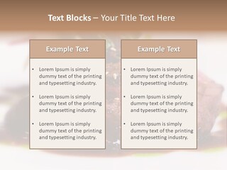 Filet Mignon PowerPoint Template