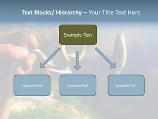 Reel Creek River PowerPoint Template