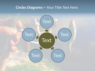 Reel Creek River PowerPoint Template