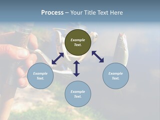 Reel Creek River PowerPoint Template