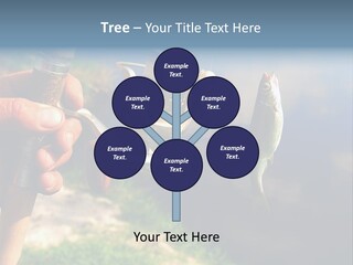 Reel Creek River PowerPoint Template