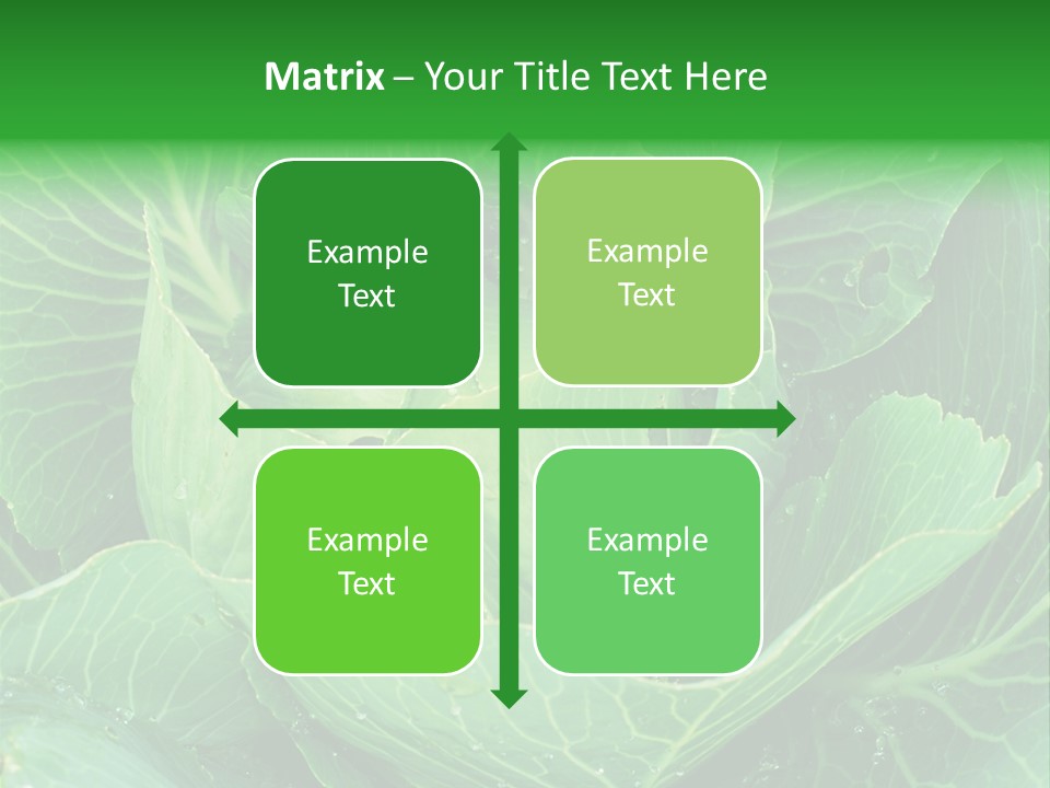 Plant Cabbage Freshness PowerPoint Template