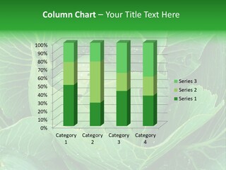 Plant Cabbage Freshness PowerPoint Template