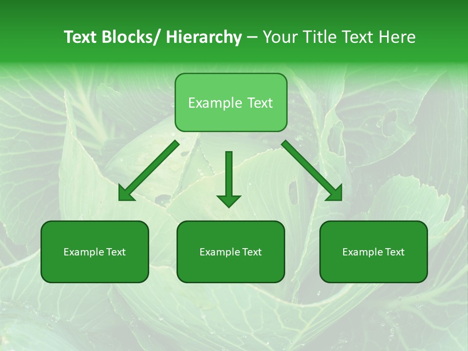 Plant Cabbage Freshness PowerPoint Template