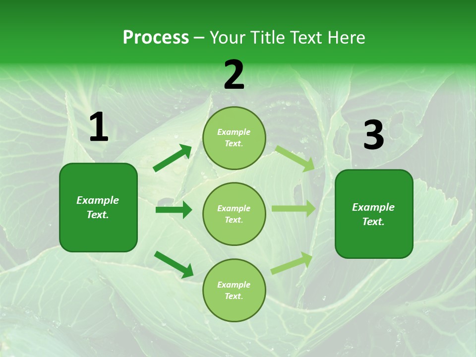 Plant Cabbage Freshness PowerPoint Template