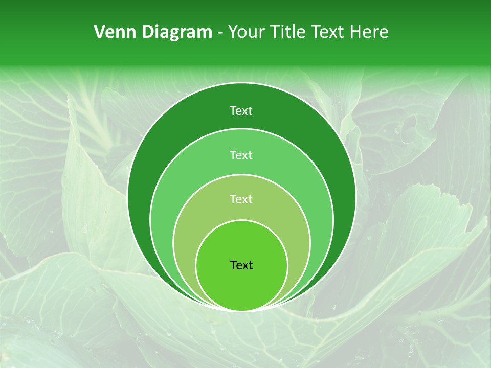 Plant Cabbage Freshness PowerPoint Template