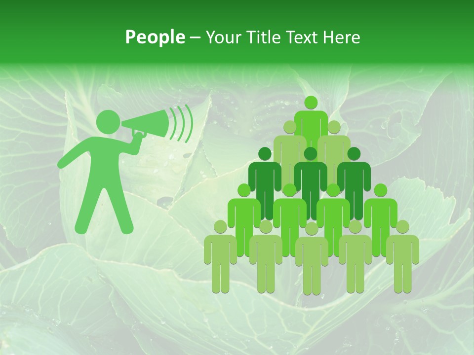 Plant Cabbage Freshness PowerPoint Template