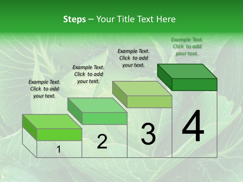 Plant Cabbage Freshness PowerPoint Template