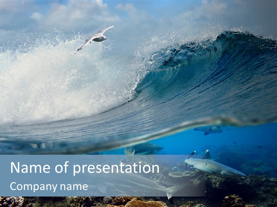 Sharks Underwater PowerPoint Template