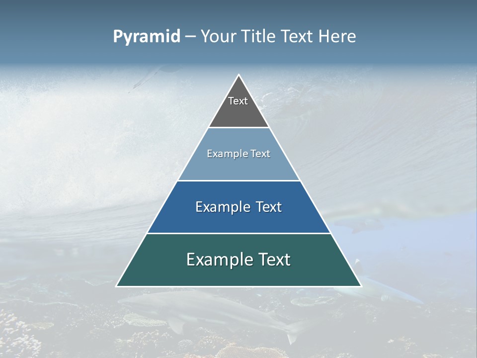 Sharks Underwater PowerPoint Template